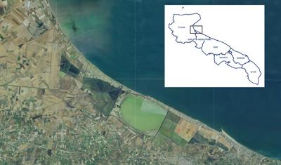 Ecophysiological and nutritional characterisation of two morphotypes of Cakile maritima subsp. maritima Scop. from Puglia region, Southern Italy